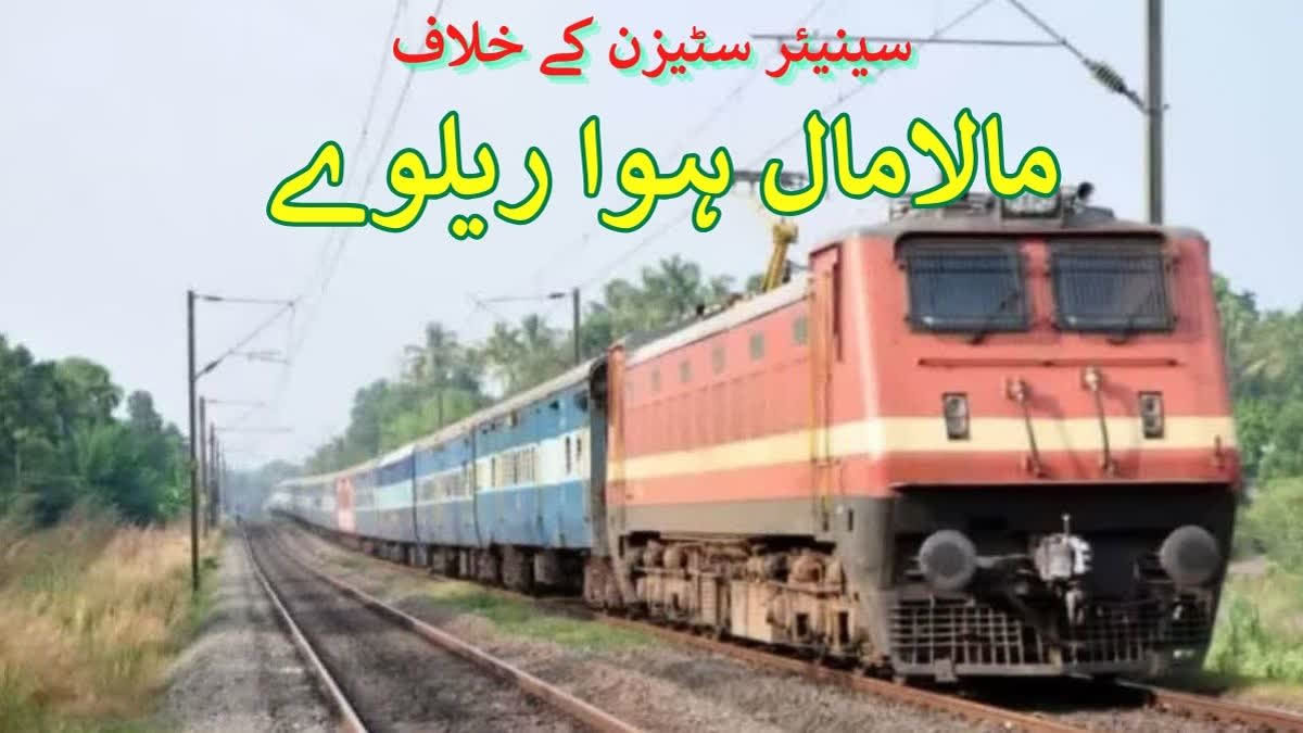 سینئر سٹیزن ڈسکاؤنٹ