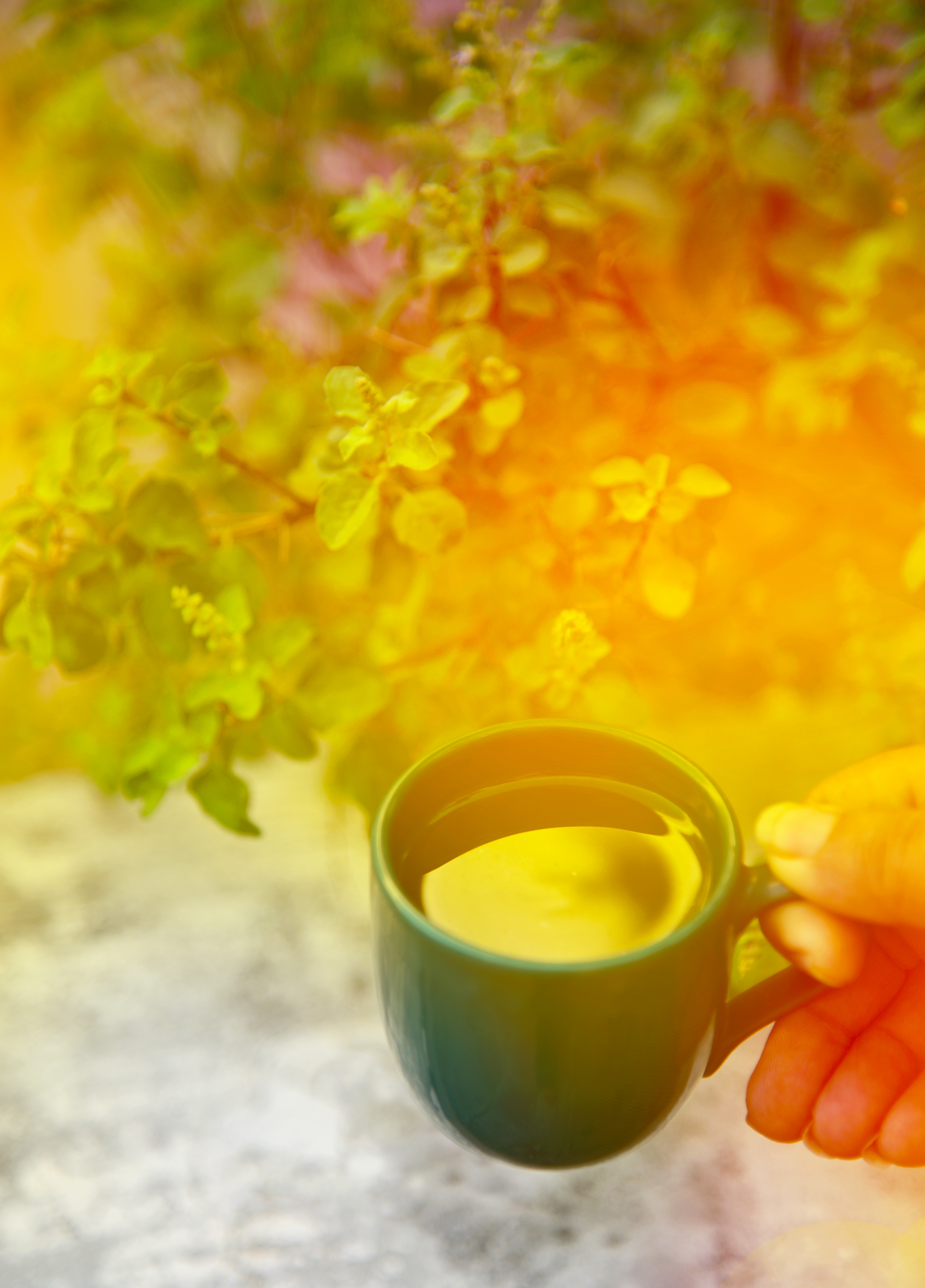 Herbal_Tea_health_benefits