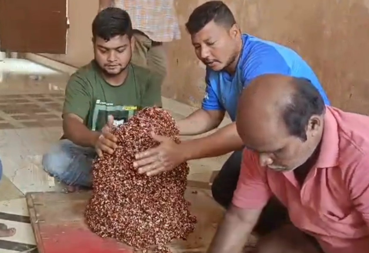 ଗଜମୁଆଁ ପ୍ରସ୍ତୁତି