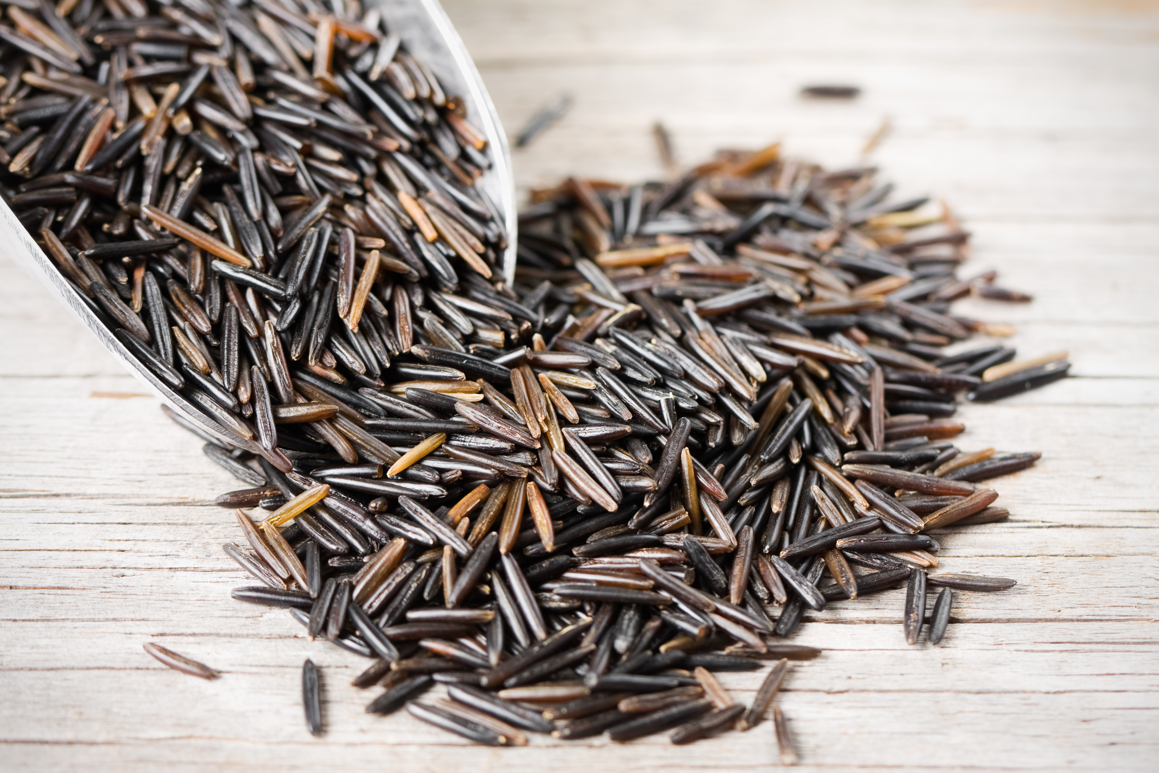 BLACK RICE BLACK RICE PREVENTS CANCER CONTROLS DIABETES ಕಪ್ಪು ಅಕ್ಕಿ ಪ್ರಯೋಜನಗಳು