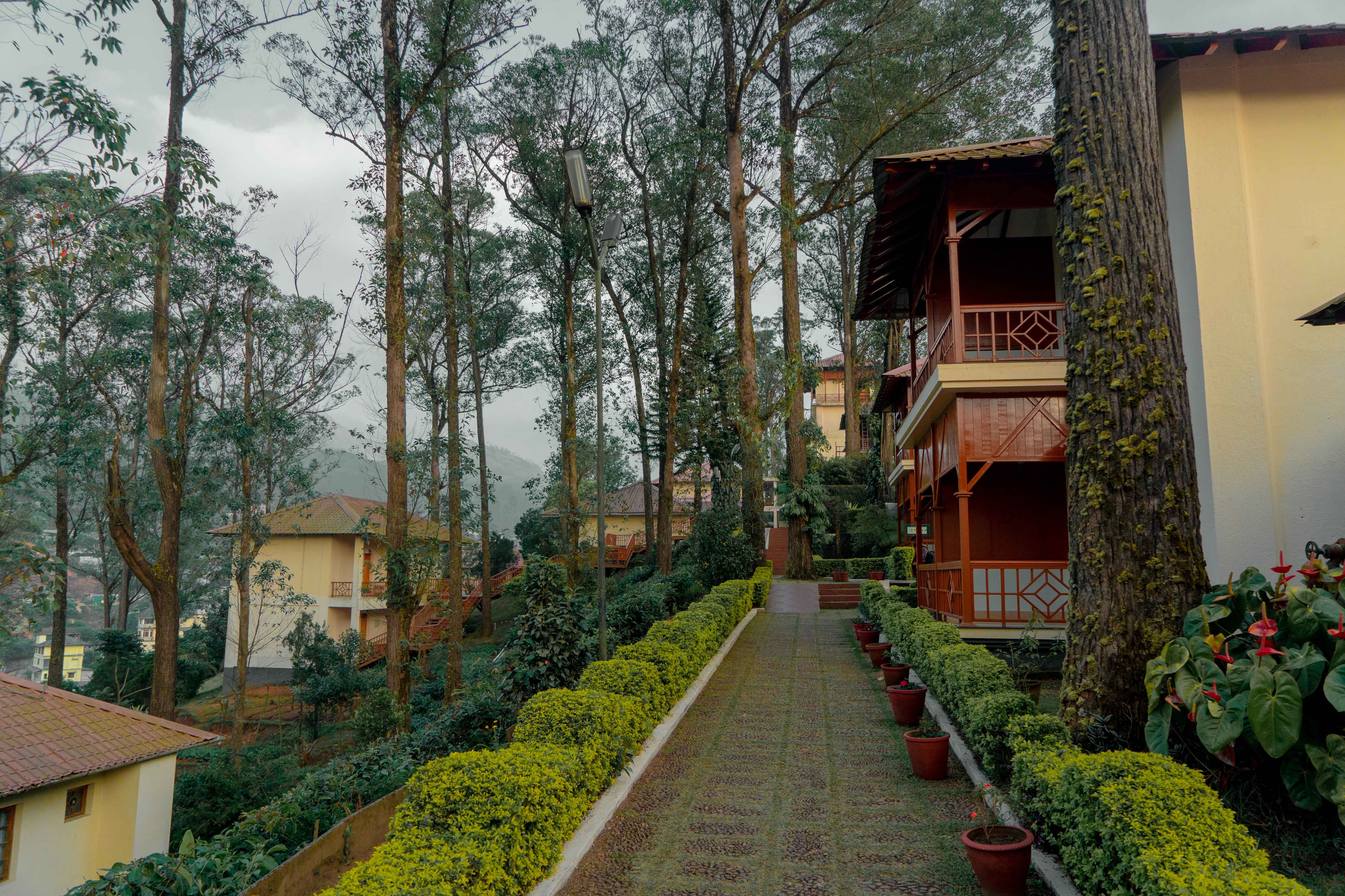 ടീ കൗണ്ടി ഹില്‍ റിസോര്‍ട്ട്, VACATION TRIP PLAN IN KERALA  KTDC PREMIUM RESORTS  SUMMER VACATION PLAN  TRIP AROUND KERALA