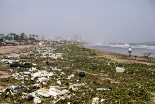 circular-economy-is-an-economic-necessity