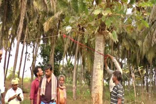 HESCOM POWER LINES  SANNAGUBBI ELECTRICAL WIRE PROBLEM  HAVERI  ಹೆಸ್ಕಾಂ ವಿದ್ಯುತ್ ತಂತಿ