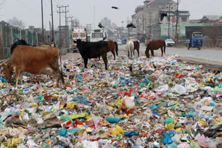 File - Huge pile of garbage