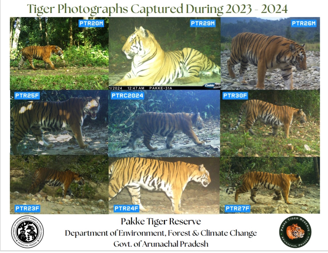 Pakke tiger reserve