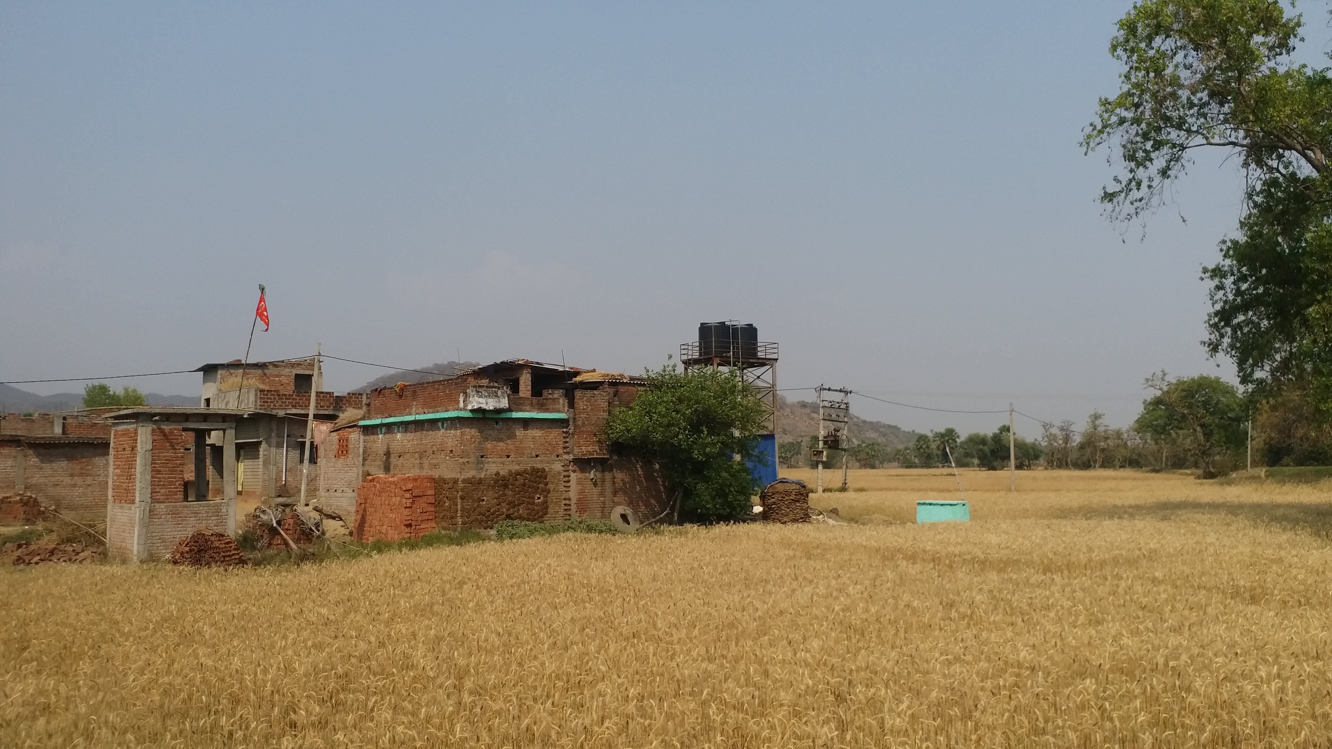 Zero Police Cases In 111 Years: How Bankat Village In Bihar Chose Harmony Over Conflict