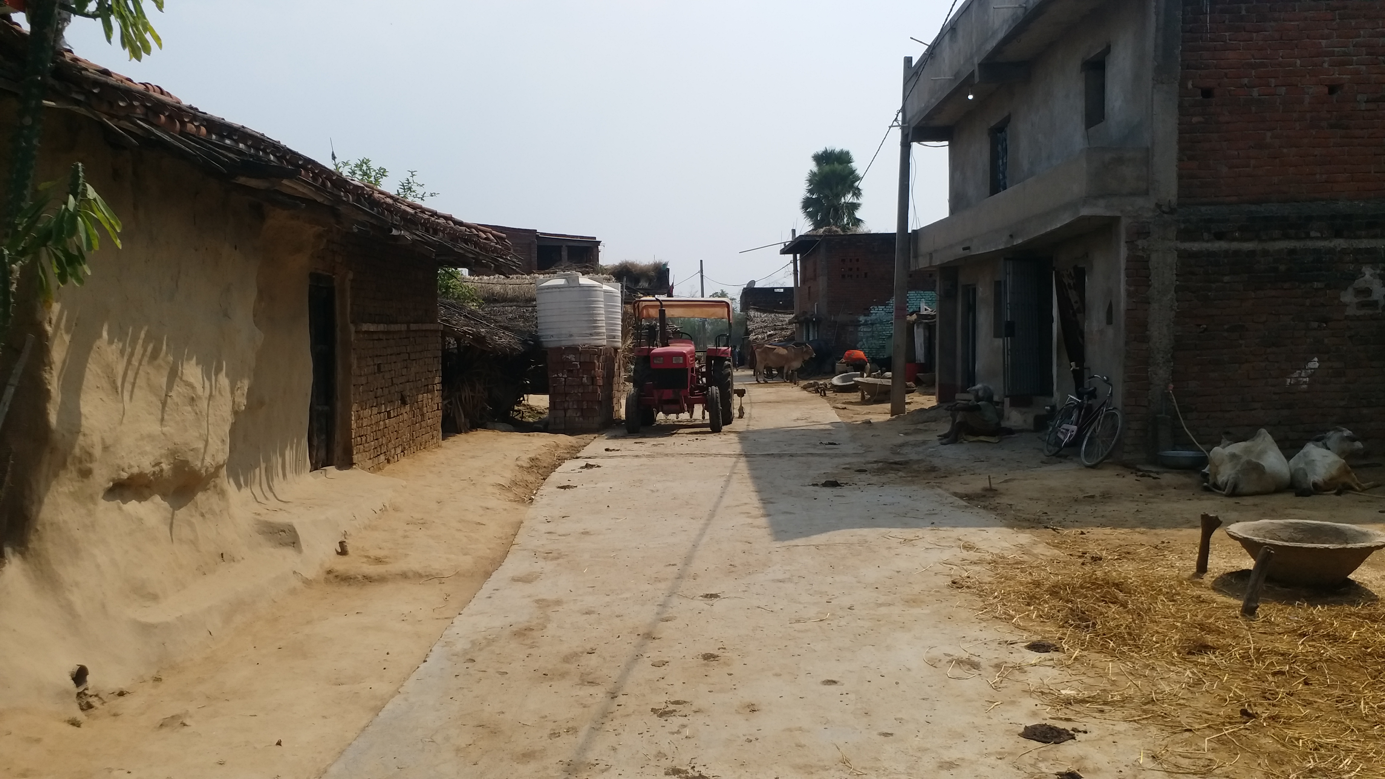 Zero Police Cases In 111 Years: How Bankat Village In Bihar Chose Harmony Over Conflict