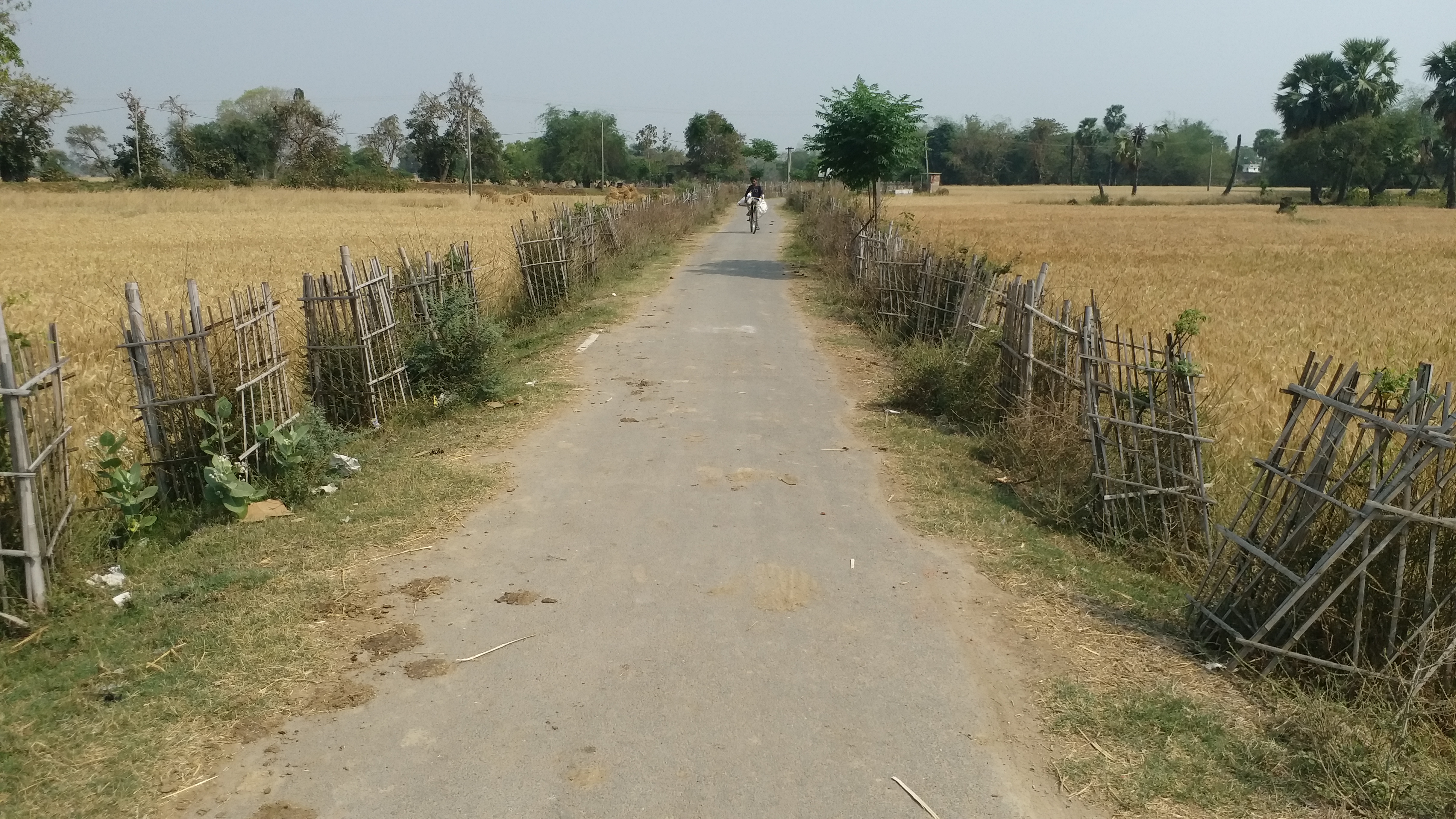 Zero Police Cases In 111 Years: How Bankat Village In Bihar Chose Harmony Over Conflict