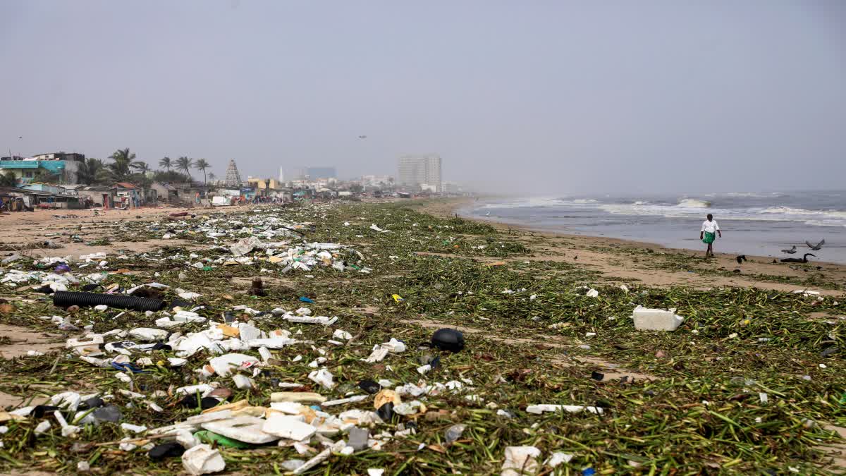 Circular Economy Is An Economic Necessity