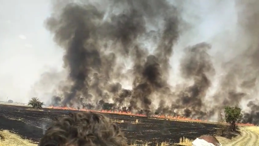 SHIVPURI Massive fire IN fields