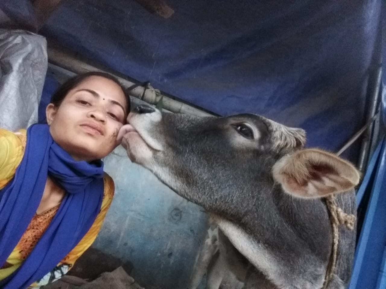 Royal family daughter Chinmayee Deo dedicated her life for service of cow in Puri
