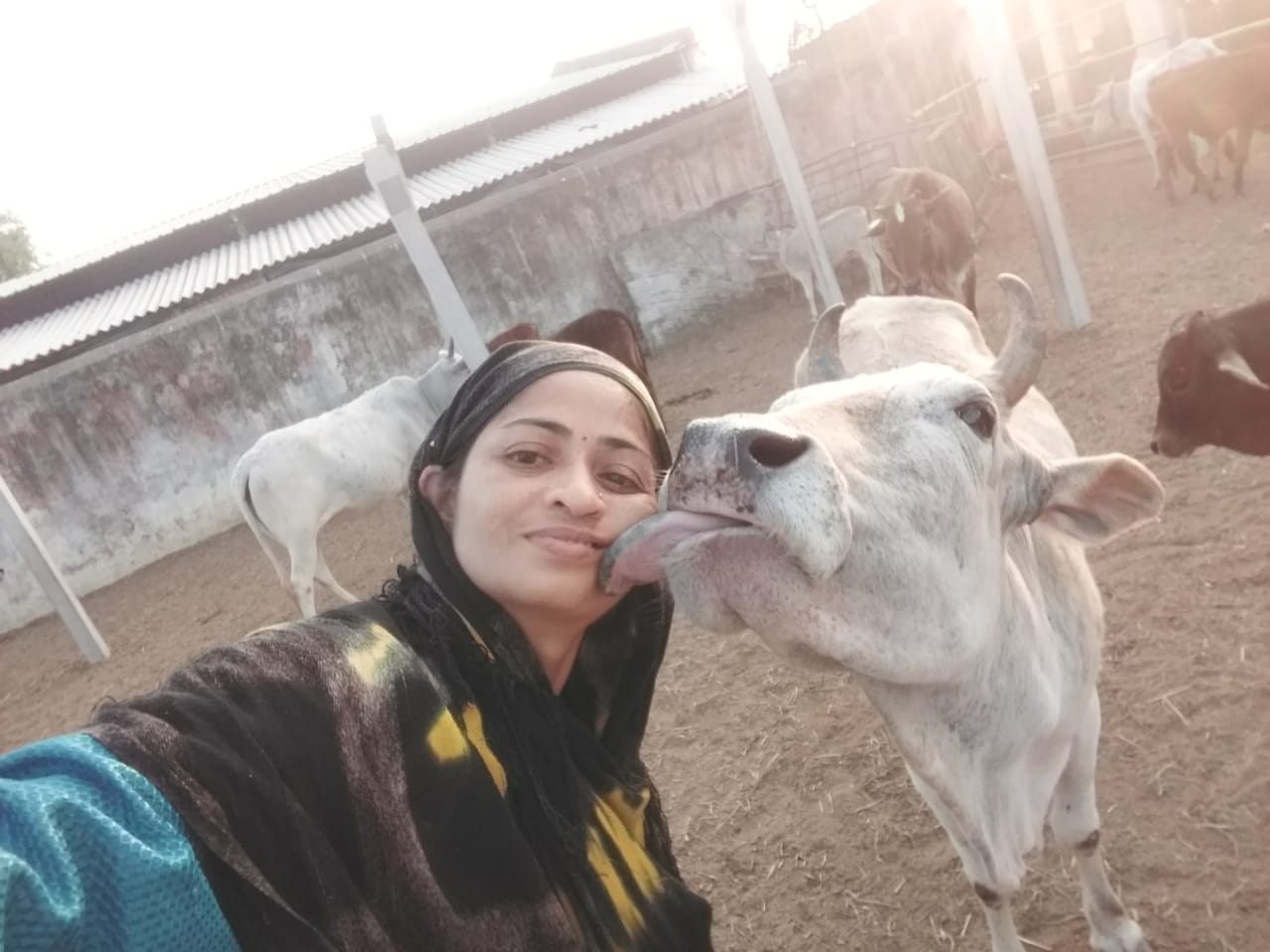 Royal family daughter Chinmayee Deo dedicated her life for service of cow in Puri