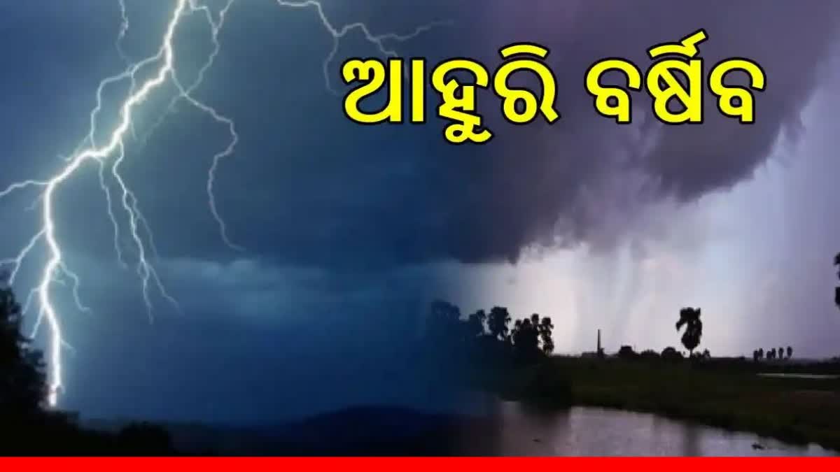 ଆଗାମୀ 3 ଦିନ ପ୍ରବଳ ବର୍ଷିବ, ବିଭିନ୍ନ ଜିଲ୍ଲାକୁ ୟେଲୋ ଆଲର୍ଟ