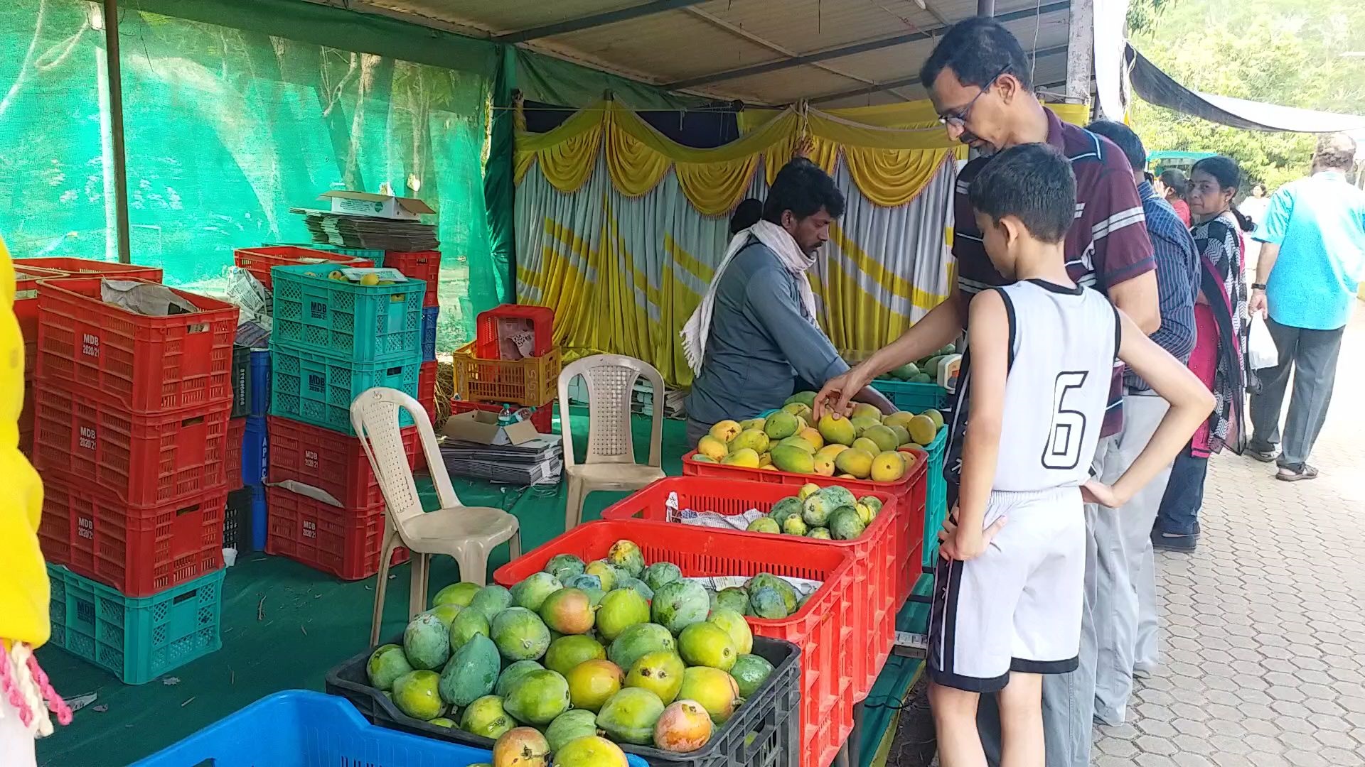 mango mela