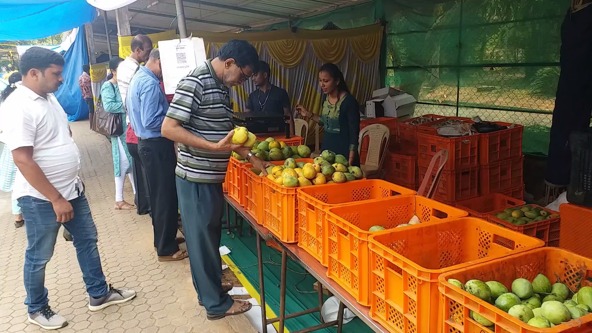 mango mela