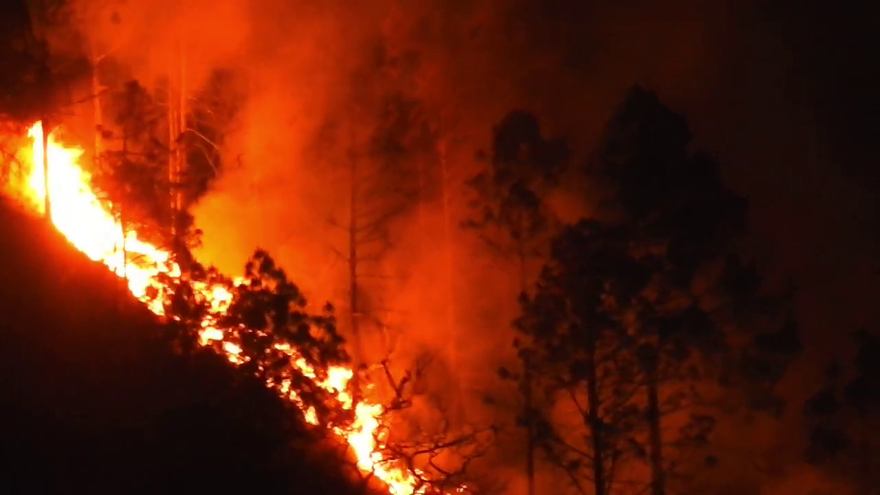 Forest Fire Uttarakhand