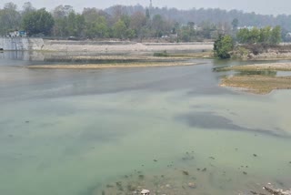 Decreasing Water Level of Kosi River