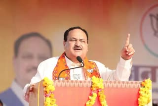 BJP President JP Nadda Road Show In Panchkula