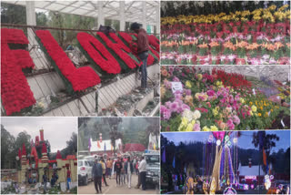 Flower show Ooty garden