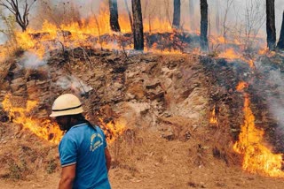 Fire broke out in the forests of Pauri