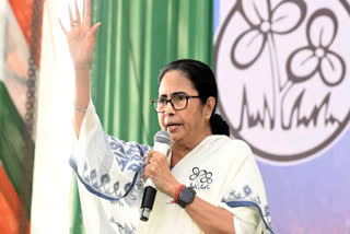 West Bengal Chief Minister Mamata Banerjee expressed happiness after the Supreme Court granted interim bail to Delhi Chief Minister Arvind Kejriwal till June 1 in the excise policy case.
