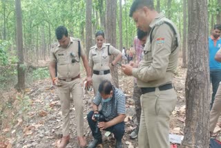Forest Department Employee Body Found