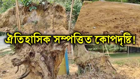 Historical Bordhap Destroyed