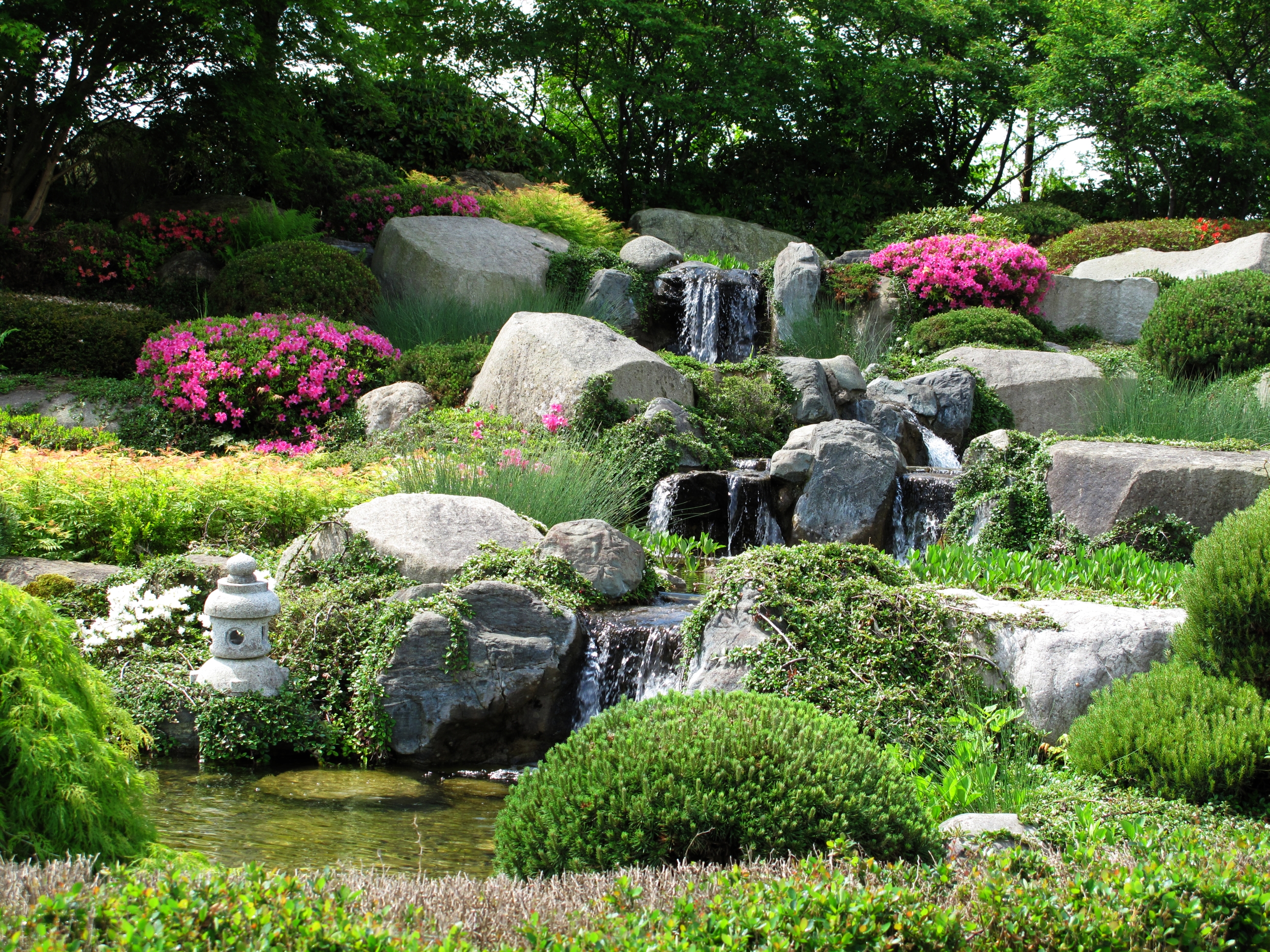 Plants that should not be planted around the house because they attract snakes