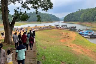 SPICE PLANTATIONS  THEKKADY LOCATED IN IDUKKI DISTRICT  THEKKADY WILDLIFE  KERALA TOURISM