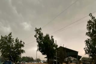 Haryana weather