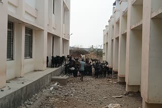 RAJGARH vocational COLLEGE