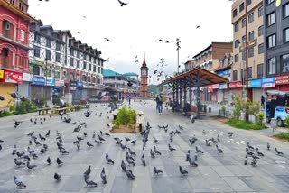 pahalgam  operation sindhoor  us  donald trump
