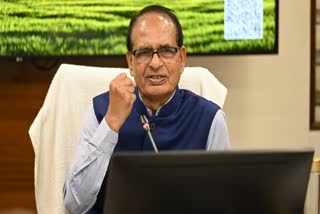 PLAN SHIVRAJ TO HELP BORDER FARMERS