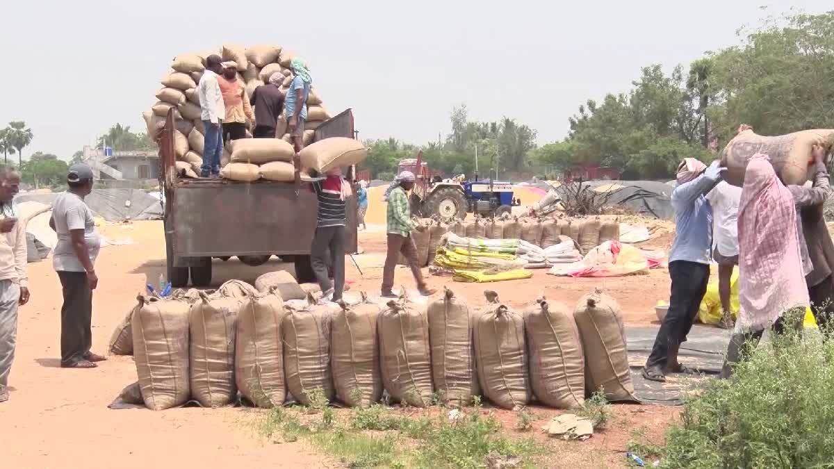 Grain Purchases in Telangana