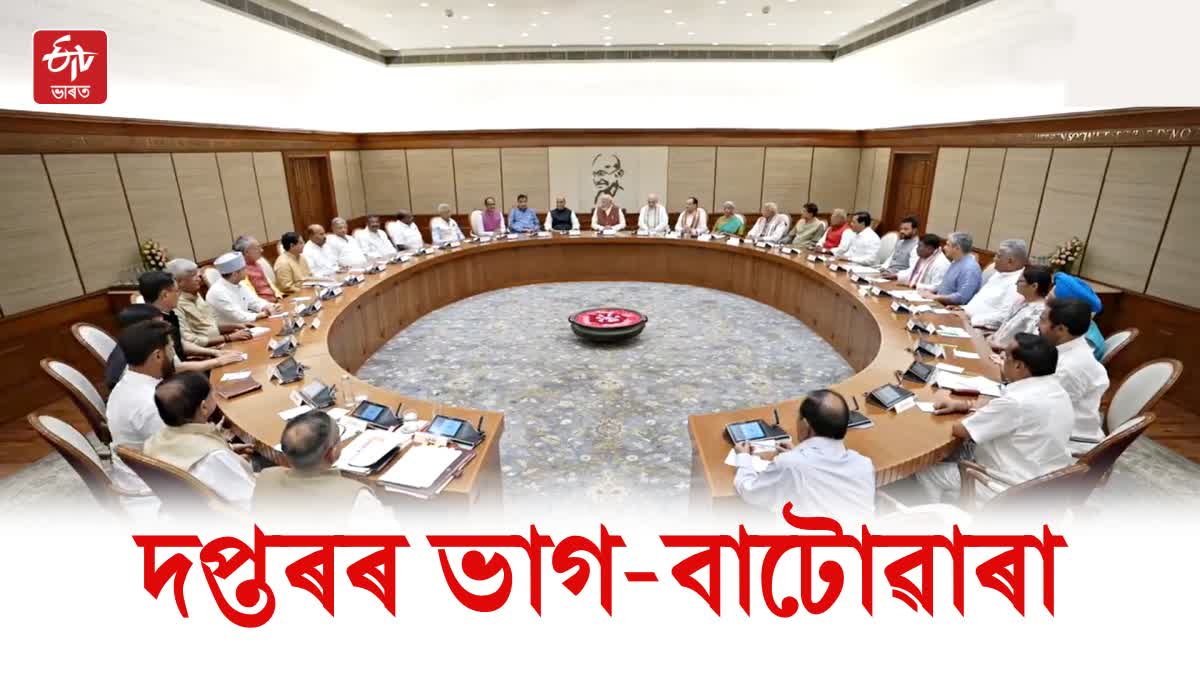 MODIS CABINET