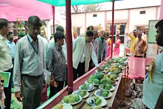 Exhibition in Malda of 250 Varieties of Mango