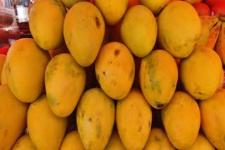 Carbide Cooked Mango In Bihar