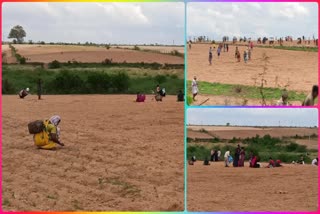 Villagers_Search_of_Diamonds_at_Vajrakarur