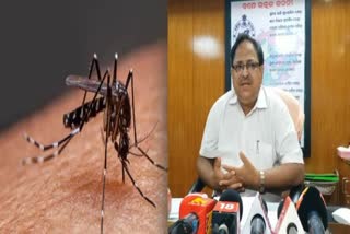 Dengue Cases Rising In Odisha
