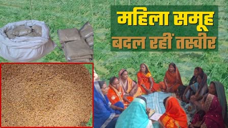 Women groups bringing change in farming at Naxalite areas in Palamu