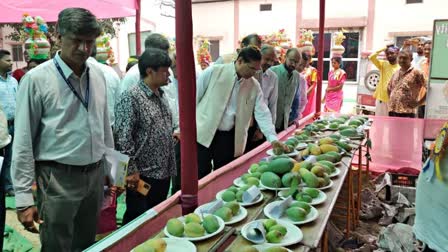 Exhibition of endangered mango varieties at West Bengal's Malda