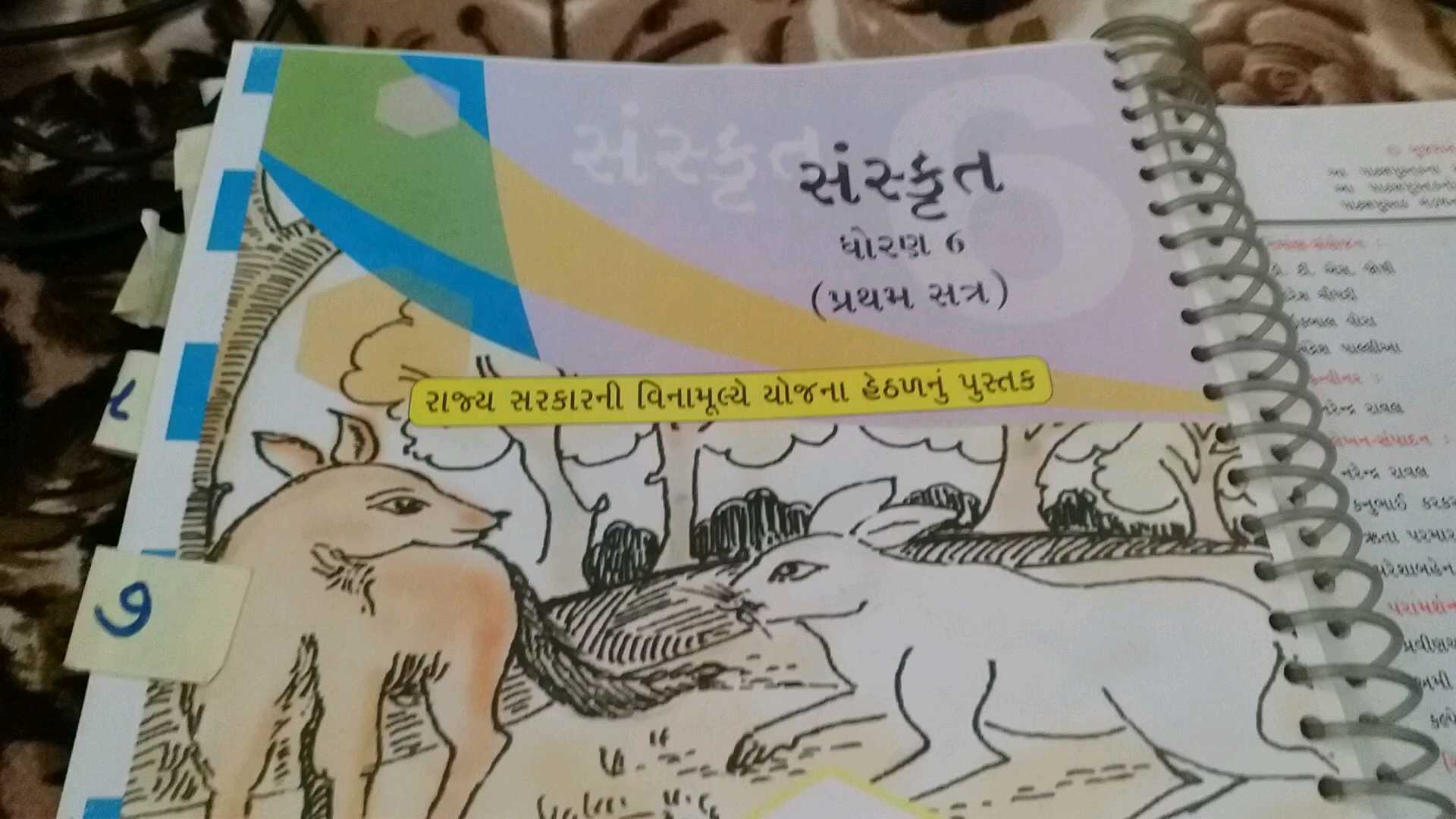 પાઠ્યપુસ્તકના ચિત્રો જોઈને પ્રેરણા મેળવનાર શિક્ષક આજે પોતે પાઠ્યપુસ્તકના મુખ્ય પેજના ચિત્રો બનાવે છે, જાણો