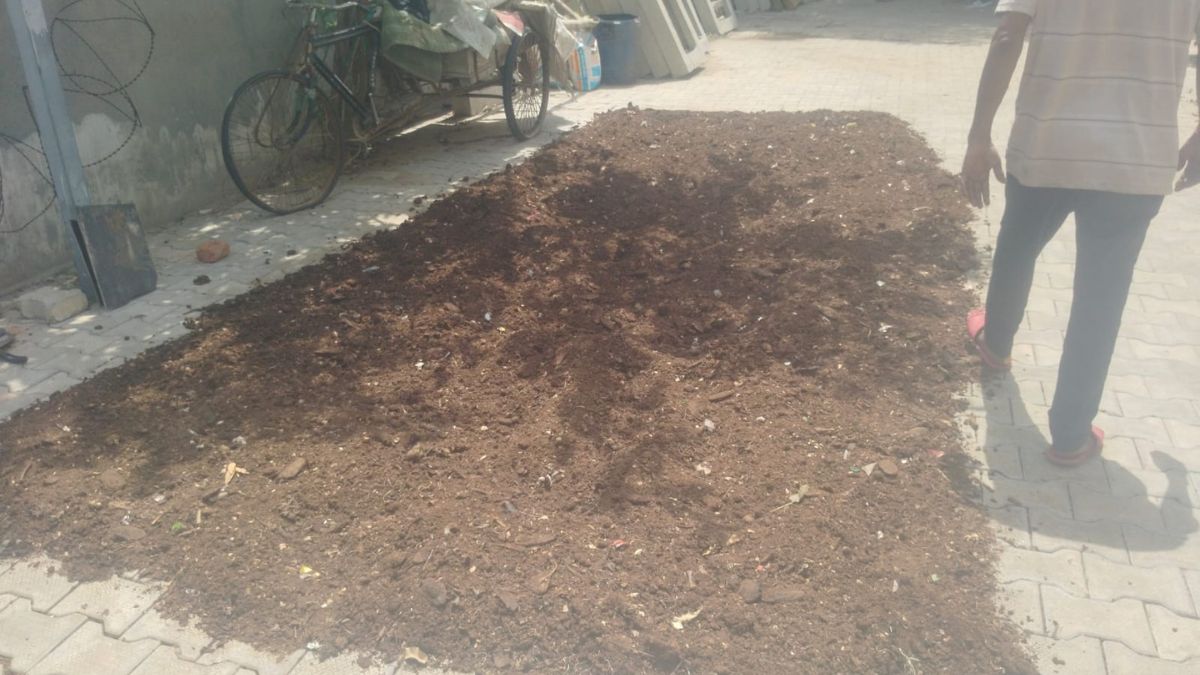 FARIDABAD SOCIETY MINI FOREST
