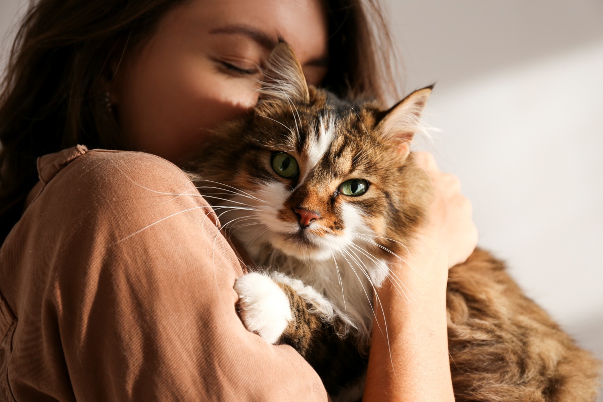 Only 10% of pets are adopted in India