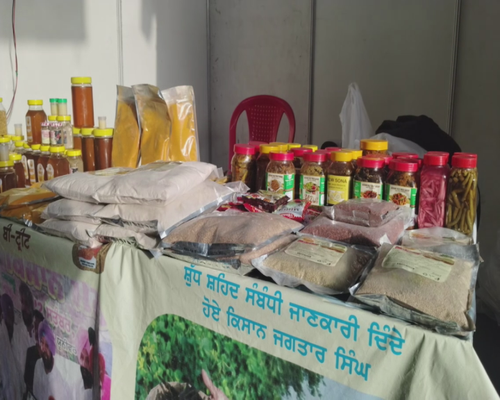 ਆਰਗੈਨਿਕ ਹਲਦੀ ਦੇ ਨਾਲ-ਨਾਲ ਮੋਟੇ ਅਨਾਜ ਦੀ ਪੈਦਾਵਾਰ
