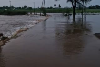 HEAVY RAIN IN KUDACHI
