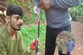 SNAKE RESCUED