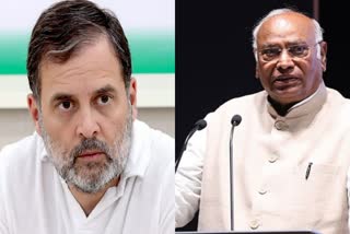 MALLIKARJUN KHARGE  RAHUL GANDHI  MAHARASHTRA ASSEMBLY ELECTIONS  ELECTION COMMISSION