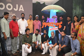 Magic Mushrooms from kanjikuzhy, Nadirsha, Vishnu Unnikrishnan
