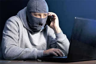ONLINE FRAUD ARREST  YOUTH ARRESTED IN ONLINE FRAUD  ONLINE TASK FRAUD  കോഴിക്കോട് ഓൺലൈൻ തട്ടിപ്പ്